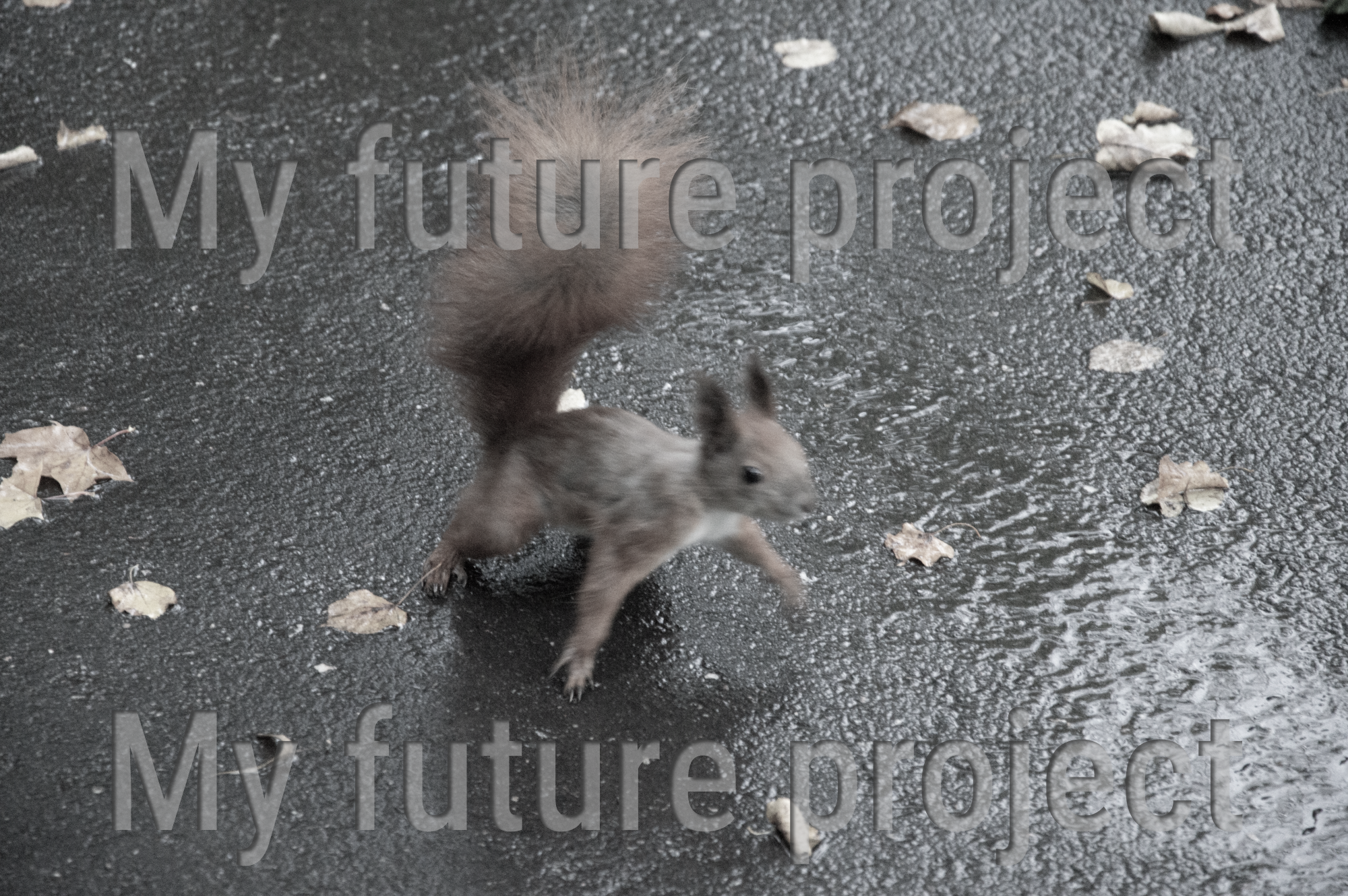 future